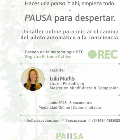 Pausa para Despertar